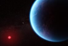 Artist's impression of K2-18 b (via Wikipedia)