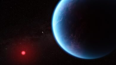 Artist's impression of K2-18 b (via Wikipedia)