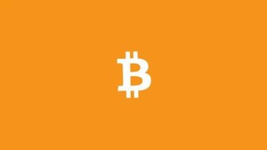 Cryptocurrency (Bitcoin)