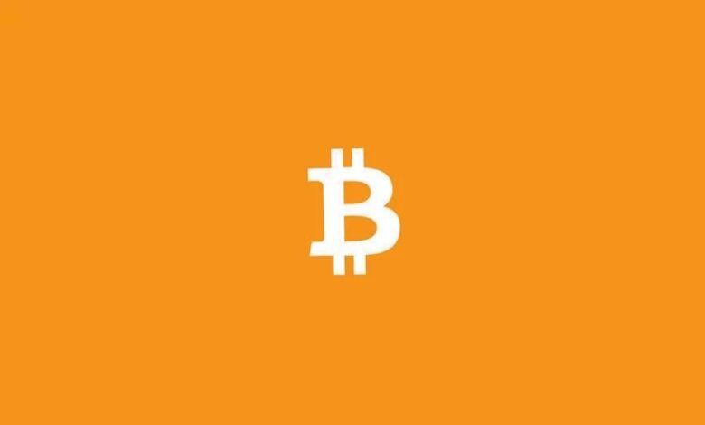 Cryptocurrency (Bitcoin)