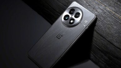 OnePlus 13