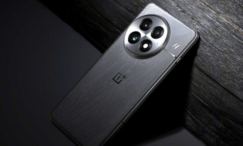 OnePlus 13